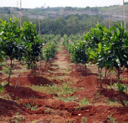 Туры в Вунг Тау 2025 - цены на путевки во Вьетнам из Москвы от туроператора Tez Tour