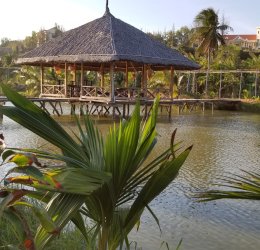 Туры в Фантхиет 2025 - цены на путевки во Вьетнам из Москвы от туроператора Tez Tour