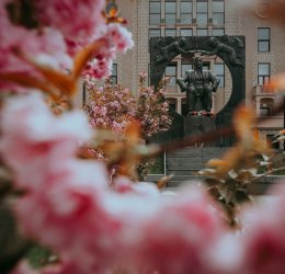 Туры в Батуми 2025 - цены на путевки в Грузию из Москвы от туроператора Tez Tour