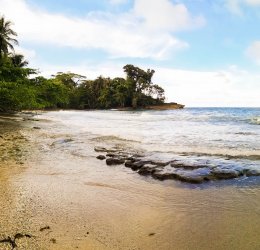 Туры в Пунта Кану 2025 - цены на путевки в Доминикану из Москвы от туроператора Tez Tour