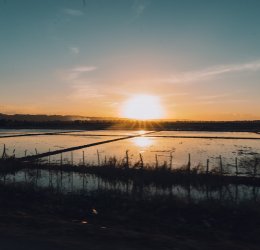 Туры в Саману 2025 - цены на путевки в Доминикану из Москвы от туроператора Tez Tour