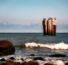 Туры в Кап Кану 2025 - цены на путевки в Доминикану из Москвы от туроператора Tez Tour