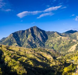 Туры в Пуэрто Плата 2025 - цены на путевки в Доминикану из Москвы от туроператора Tez Tour