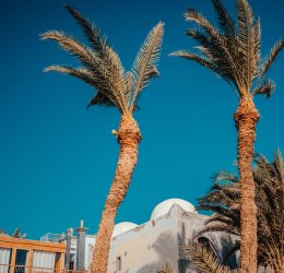 Туры в Дахаб 2025 - цены на путевки в Египет из Москвы от туроператора Tez Tour Туры в Дахаб 2025 - цены на путевки в Египет из Москвы от туроператора Tez Tour