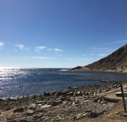 Туры в Нувейбу 2025 - цены на путевки в Египет из Москвы от туроператора Tez Tour