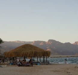 Туры в Нувейбу 2025 - цены на путевки в Египет из Москвы от туроператора Tez Tour