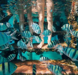 Туры в Эйлат 2025 - цены на путевки в Израиль из Москвы от туроператора Tez Tour