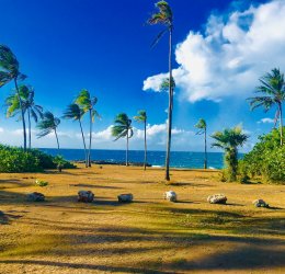 Туры в Ольгин 2025 - цены на путевки на Кубу из Москвы от туроператора Tez Tour