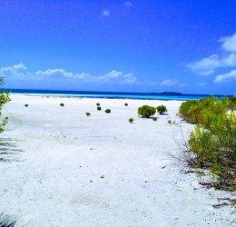 Туры в Варадеро 2025 - цены на путевки на Кубу из Москвы от туроператора Tez Tour