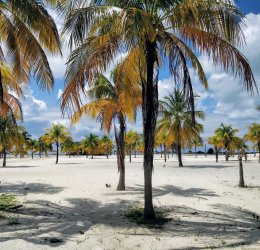 Туры на о. Кайо Ларго 2025 - цены на путевки на Кубу из Москвы от туроператора Tez Tour