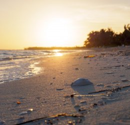 Туры на о. Кайо Коко 2025 - цены на путевки на Кубу из Москвы от туроператора Tez Tour