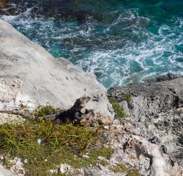 Туры на Исла Мухерес (о.Женщин) 2025 - цены на путевки в Мексику из Москвы от туроператора Tez Tour