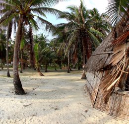 Туры на Исла Мухерес (о.Женщин) 2025 - цены на путевки в Мексику из Москвы от туроператора Tez Tour