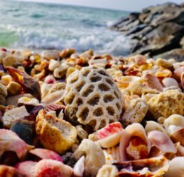 Туры в Аджман 2025 - цены на путевки в ОАЭ из Москвы от туроператора Tez Tour