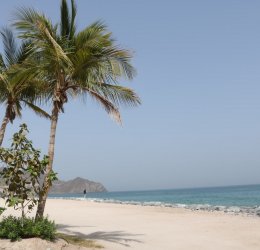 Туры в Корфаккан 2025 - цены на путевки в ОАЭ из Москвы от туроператора Tez Tour