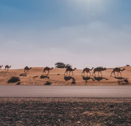 Туры в Рас-эль-Хайму 2025 - цены на путевки в ОАЭ из Москвы от туроператора Tez Tour Туры в Рас-эль-Хайму 2025 - цены на путевки в ОАЭ из Москвы от туроператора Tez Tour