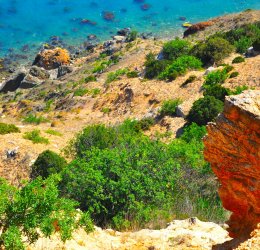 Туры в Туапсе 2025 - цены на путевки в Россию из Москвы от туроператора Tez Tour