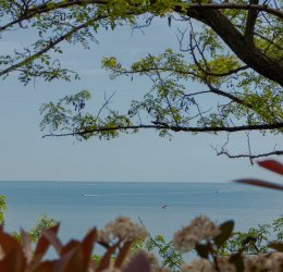 Туры в Сочи 2025 - цены на путевки в Россию из Москвы от туроператора Tez Tour