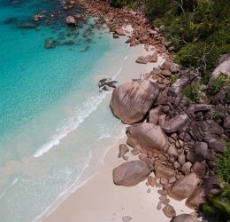 Туры на о. Денис 2025 - цены на путевки на Сейшелы из Москвы от туроператора Tez Tour