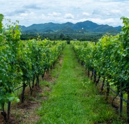 Туры в Хуа Хин 2025 - цены на путевки в Таиланд из Москвы от туроператора Tez Tour