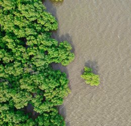 Туры на о. Чанг 2025 - цены на путевки в Таиланд из Москвы от туроператора Tez Tour