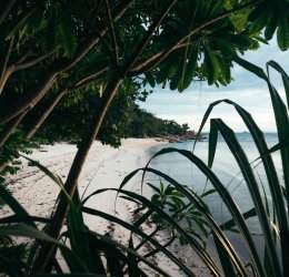 Туры в Ко Панган 2025 - цены на путевки в Таиланд из Москвы от туроператора Tez Tour