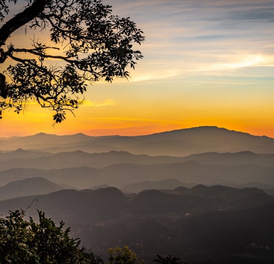 Туры в Чианг Раи 2025 - цены на путевки в Таиланд из Москвы от туроператора Tez Tour Туры в Чианг Раи 2025 - цены на путевки в Таиланд из Москвы от туроператора Tez Tour