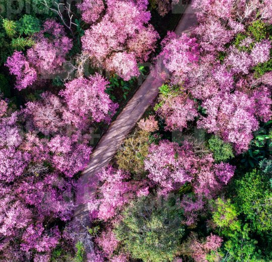 Туры в Чианг Раи 2025 - цены на путевки в Таиланд из Москвы от туроператора Tez Tour Туры в Чианг Раи 2025 - цены на путевки в Таиланд из Москвы от туроператора Tez Tour