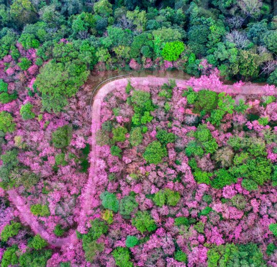 Туры в Чианг Раи 2025 - цены на путевки в Таиланд из Москвы от туроператора Tez Tour Туры в Чианг Раи 2025 - цены на путевки в Таиланд из Москвы от туроператора Tez Tour