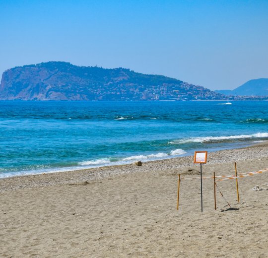 Туры в Аланию 2025 - цены на путевки в Турцию из Москвы от туроператора Tez Tour