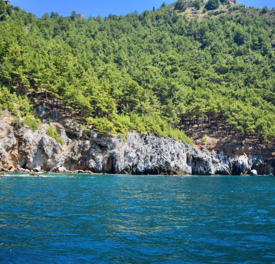 Туры в Аланию 2025 - цены на путевки в Турцию из Москвы от туроператора Tez Tour