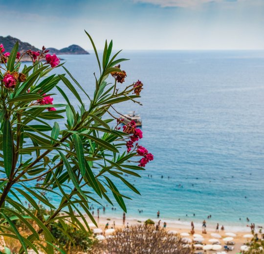 Туры в Анталию 2025 - цены на путевки в Турцию из Москвы от туроператора Tez Tour