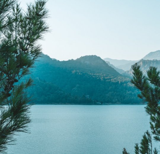 Туры в Белек 2025 - цены на путевки в Турцию из Москвы от туроператора Tez Tour Туры в Белек 2025 - цены на путевки в Турцию из Москвы от туроператора Tez Tour