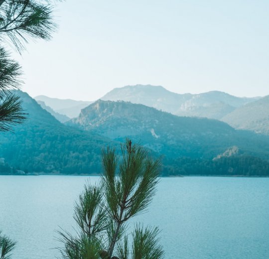 Туры в Белек 2025 - цены на путевки в Турцию из Москвы от туроператора Tez Tour Туры в Белек 2025 - цены на путевки в Турцию из Москвы от туроператора Tez Tour