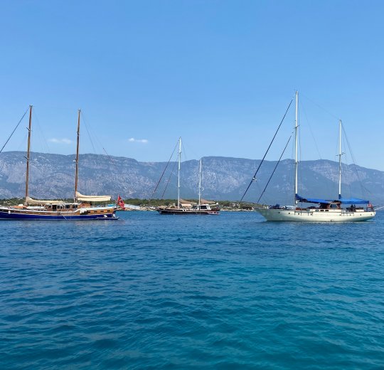 Туры в Дидим 2025 - цены на путевки в Турцию из Москвы от туроператора Tez Tour