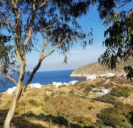 Туры в Дидим 2025 - цены на путевки в Турцию из Москвы от туроператора Tez Tour