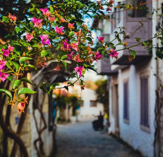 Туры в Измир 2025 - цены на путевки в Турцию из Москвы от туроператора Tez Tour