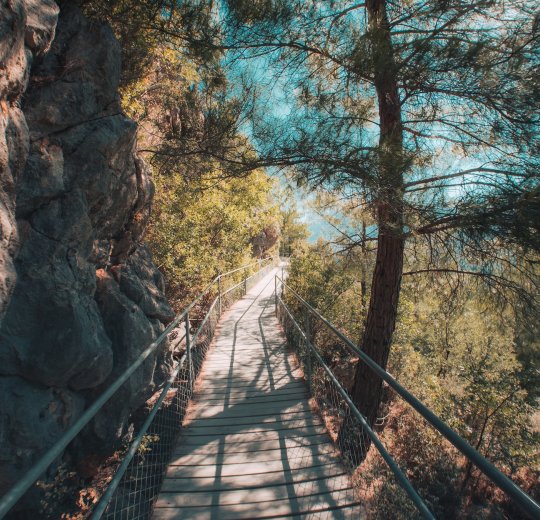 Туры в Сарикамыш 2025 - цены на путевки в Турцию из Москвы от туроператора Tez Tour