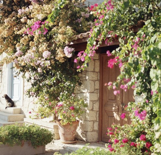 Туры в Чешме 2025 - цены на путевки в Турцию из Москвы от туроператора Tez Tour Туры в Чешме 2025 - цены на путевки в Турцию из Москвы от туроператора Tez Tour