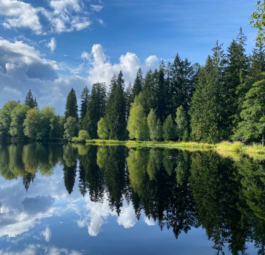 Туры  2025 - цены на путевки в Чехию из Москвы от туроператора Tez Tour