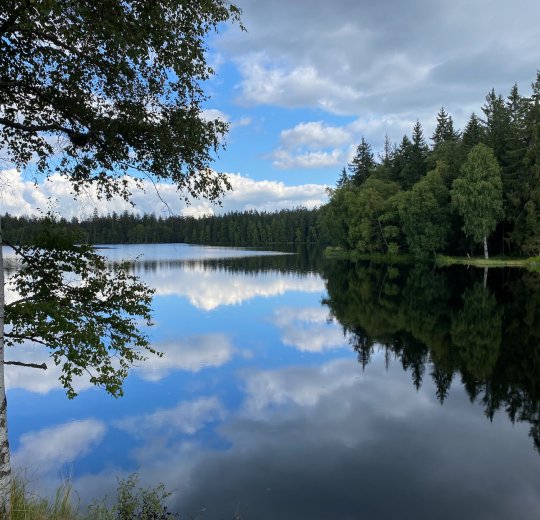 Туры  2025 - цены на путевки в Чехию из Москвы от туроператора Tez Tour