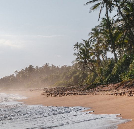 Туры в Берувелу 2025 - цены на путевки в Шри-Ланку из Москвы от туроператора Tez Tour Туры в Берувелу 2025 - цены на путевки в Шри-Ланку из Москвы от туроператора Tez Tour