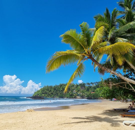 Туры в Берувелу 2025 - цены на путевки в Шри-Ланку из Москвы от туроператора Tez Tour Туры в Берувелу 2025 - цены на путевки в Шри-Ланку из Москвы от туроператора Tez Tour