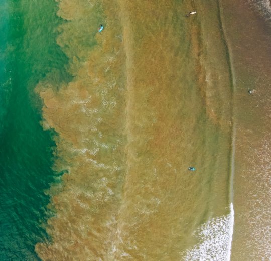 Туры в Галле 2025 - цены на путевки в Шри-Ланку из Москвы от туроператора Tez Tour