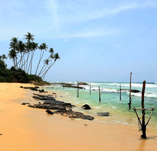 Туры в Коггалу 2025 - цены на путевки в Шри-Ланку из Москвы от туроператора Tez Tour