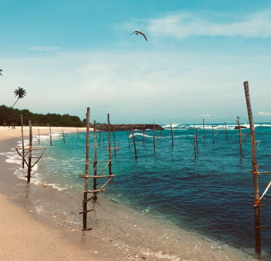 Туры в Коггалу 2025 - цены на путевки в Шри-Ланку из Москвы от туроператора Tez Tour