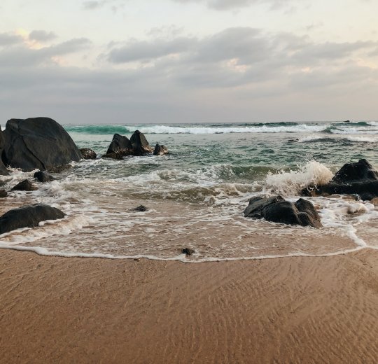 Туры в Коггалу 2025 - цены на путевки в Шри-Ланку из Москвы от туроператора Tez Tour