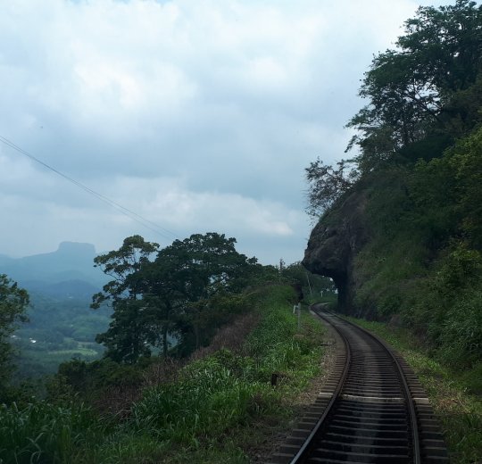 Туры в Коггалу 2025 - цены на путевки в Шри-Ланку из Москвы от туроператора Tez Tour