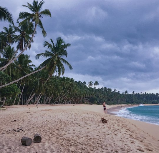 Туры в Коггалу 2025 - цены на путевки в Шри-Ланку из Москвы от туроператора Tez Tour