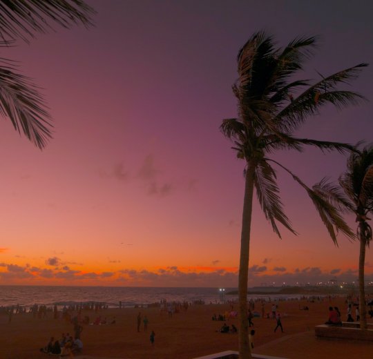 Туры в Коломбо 2025 - цены на путевки в Шри-Ланку из Москвы от туроператора Tez Tour